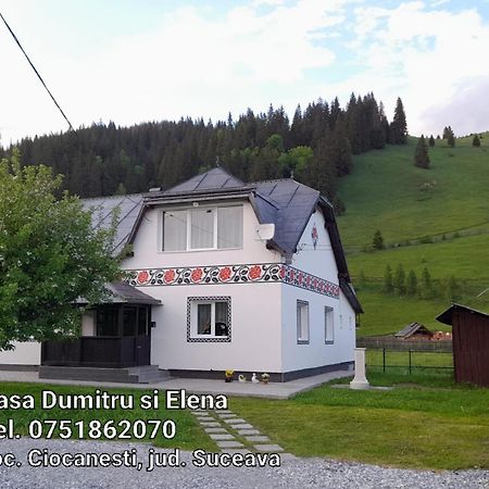 Casa Dumitru Si Elena Ciocanesti Bucovina الغرفة الصورة