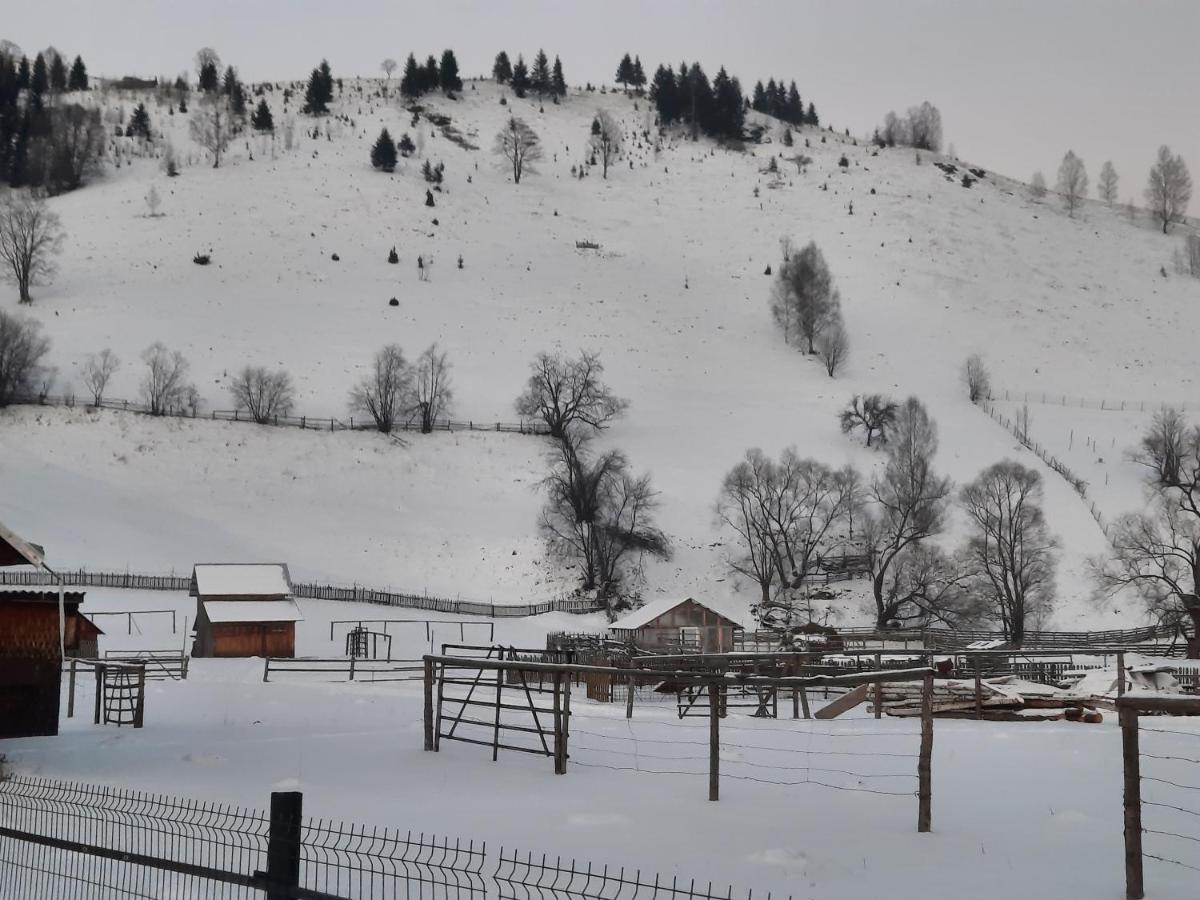Casa Dumitru Si Elena Ciocanesti Bucovina المظهر الخارجي الصورة