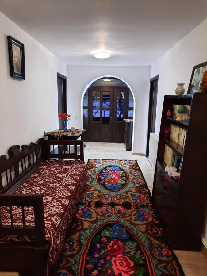 Casa Dumitru Si Elena Ciocanesti Bucovina المظهر الخارجي الصورة