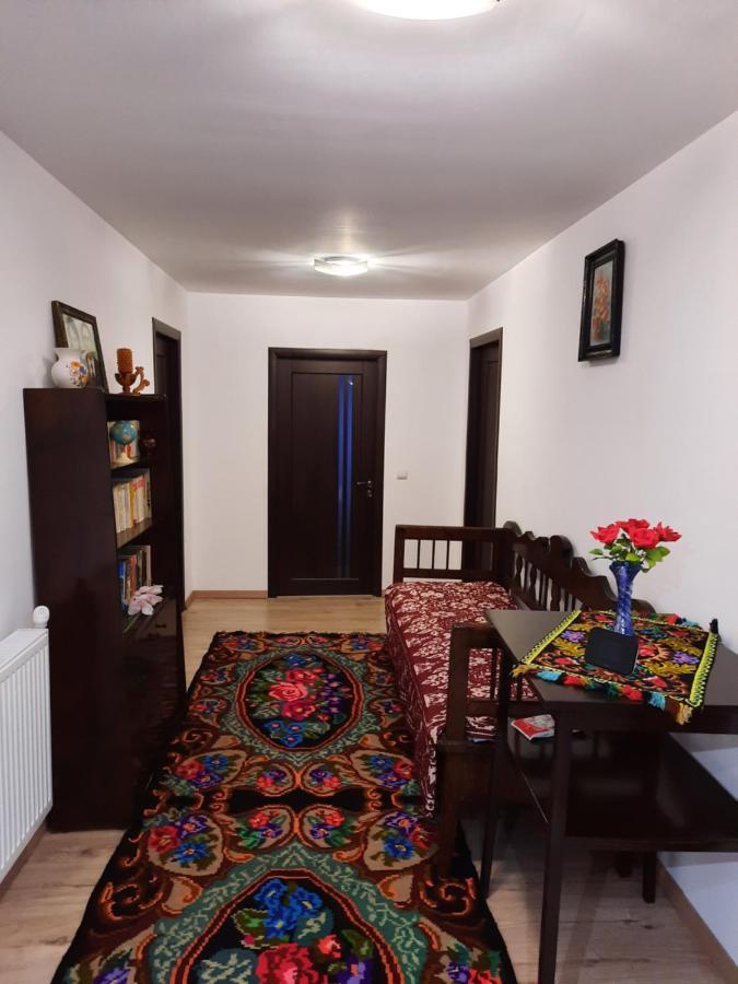 Casa Dumitru Si Elena Ciocanesti Bucovina المظهر الخارجي الصورة