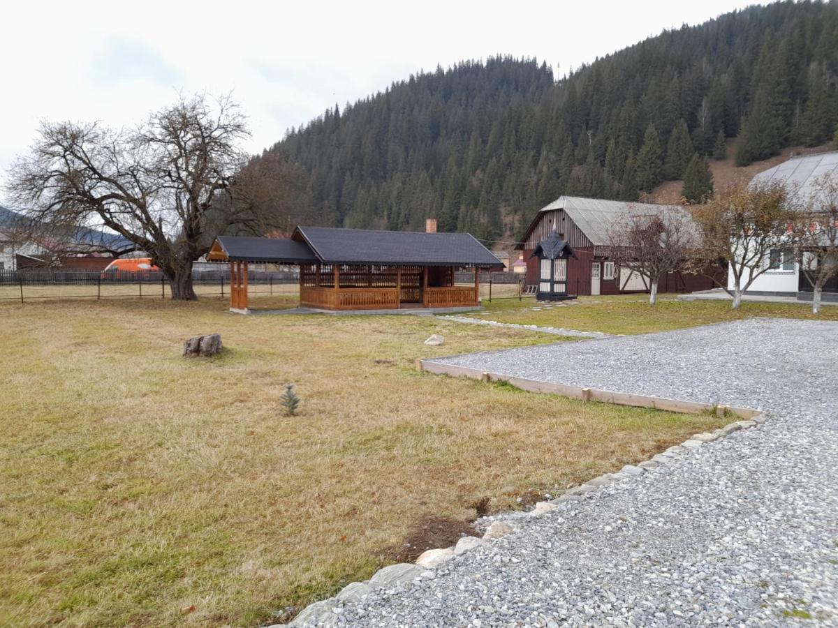 Casa Dumitru Si Elena Ciocanesti Bucovina المظهر الخارجي الصورة