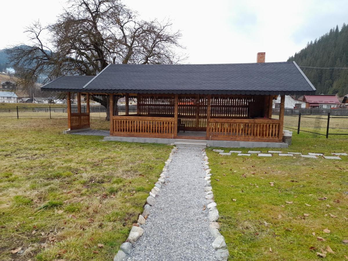 Casa Dumitru Si Elena Ciocanesti Bucovina المظهر الخارجي الصورة