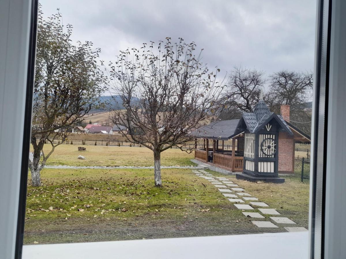Casa Dumitru Si Elena Ciocanesti Bucovina المظهر الخارجي الصورة