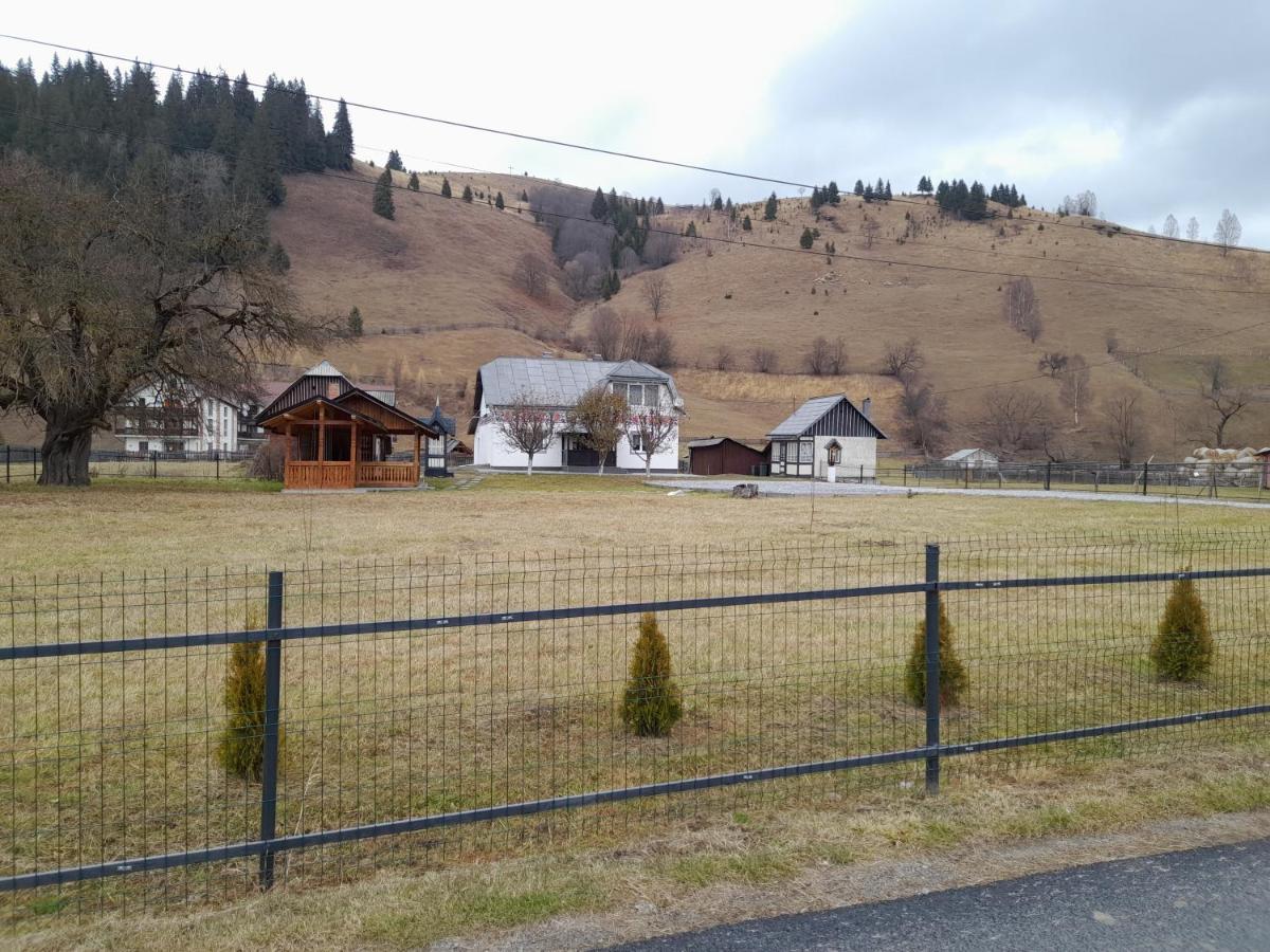 Casa Dumitru Si Elena Ciocanesti Bucovina المظهر الخارجي الصورة