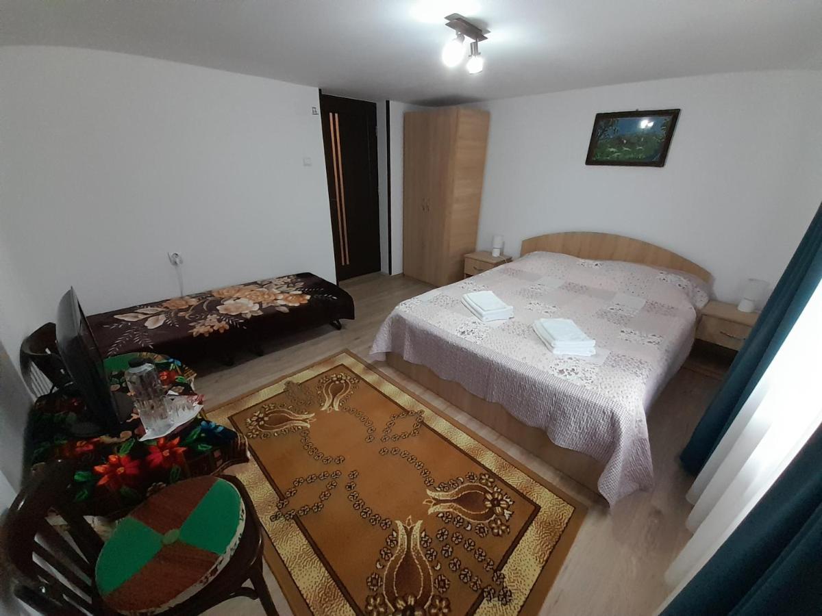 Casa Dumitru Si Elena Ciocanesti Bucovina المظهر الخارجي الصورة