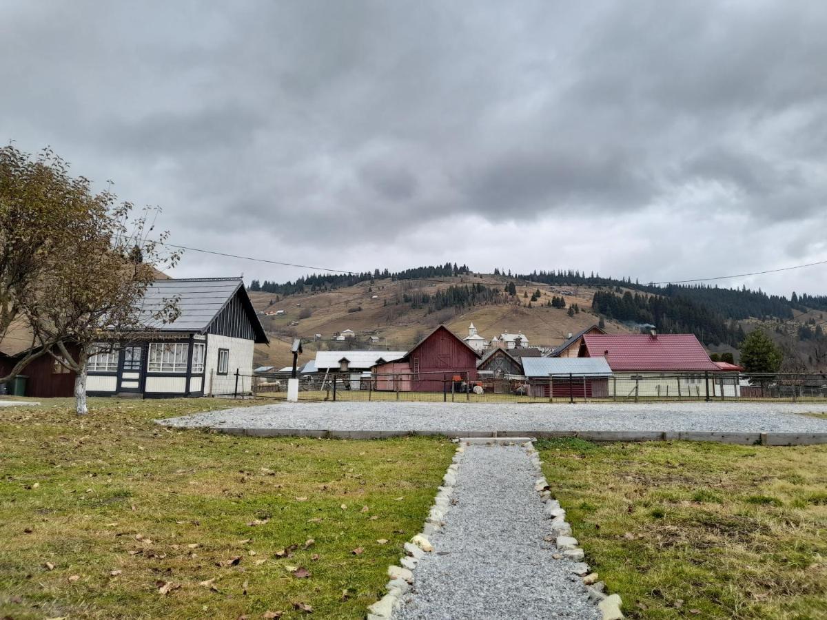 Casa Dumitru Si Elena Ciocanesti Bucovina المظهر الخارجي الصورة