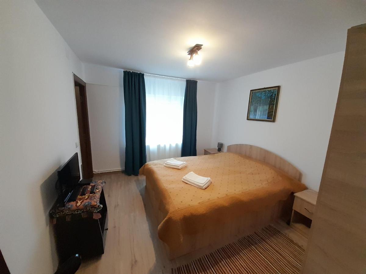Casa Dumitru Si Elena Ciocanesti Bucovina المظهر الخارجي الصورة