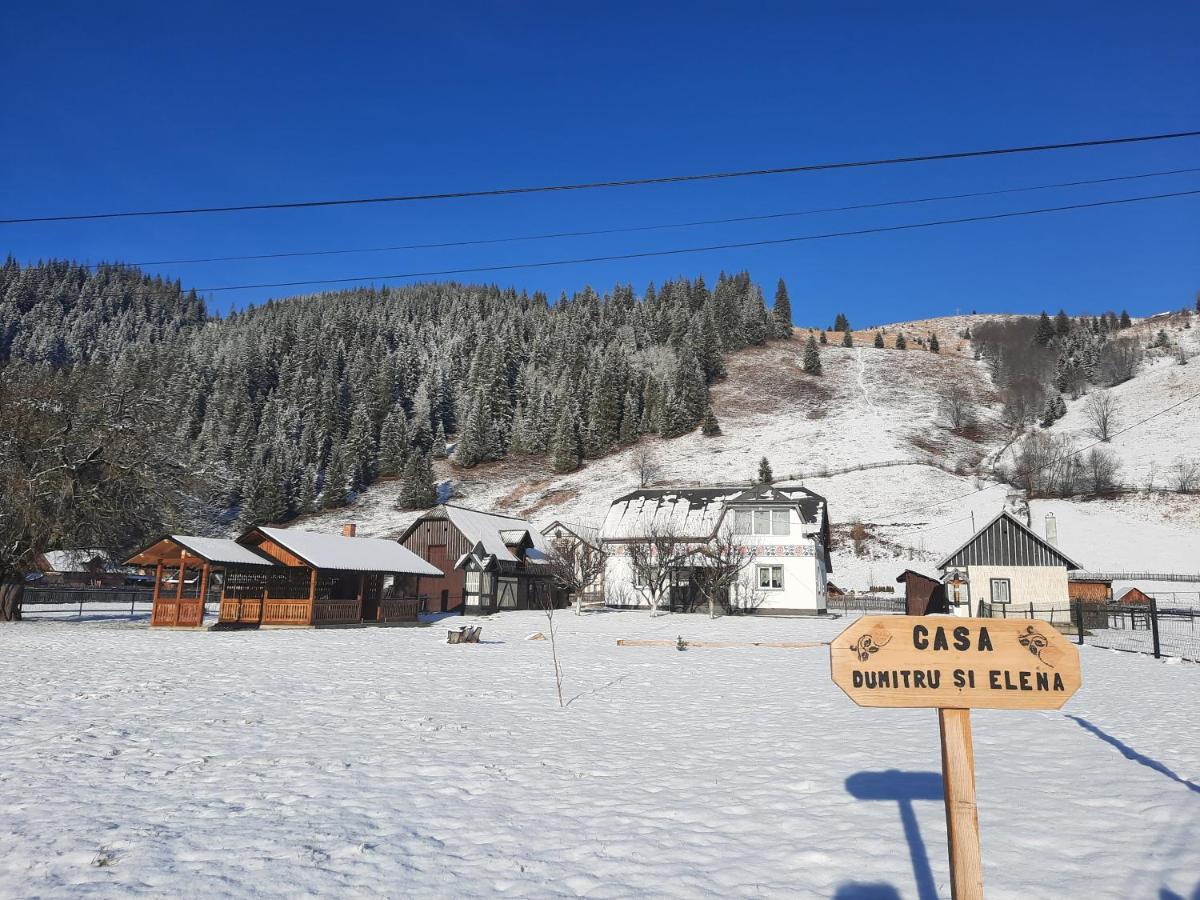 Casa Dumitru Si Elena Ciocanesti Bucovina المظهر الخارجي الصورة