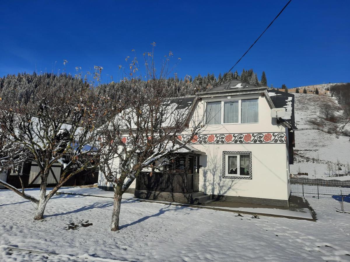 Casa Dumitru Si Elena Ciocanesti Bucovina المظهر الخارجي الصورة
