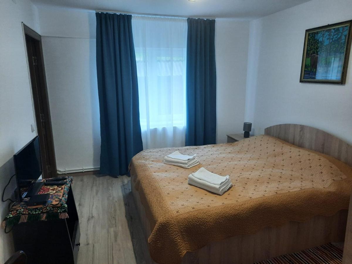 Casa Dumitru Si Elena Ciocanesti Bucovina المظهر الخارجي الصورة