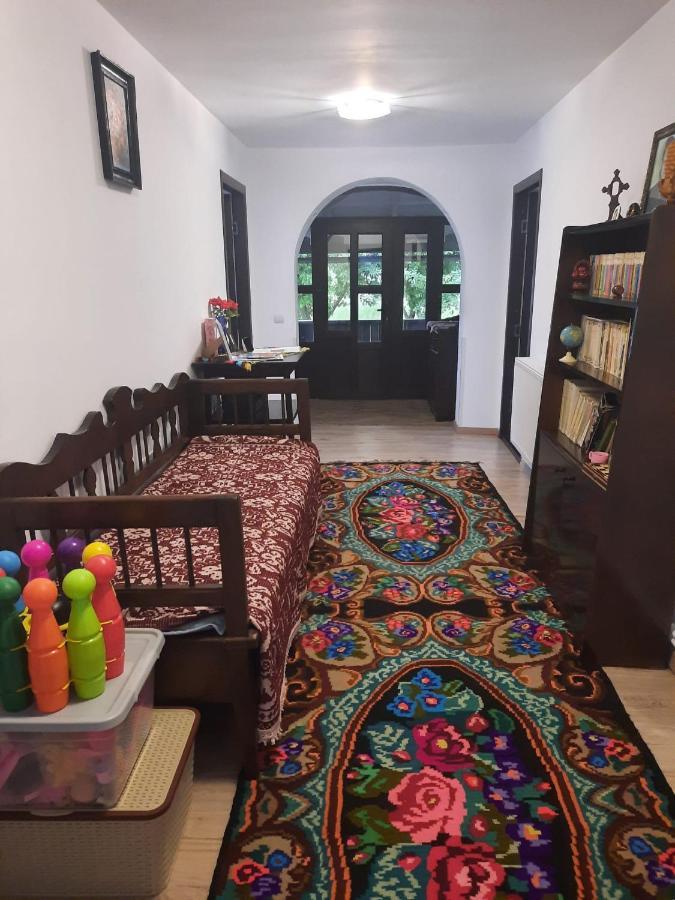 Casa Dumitru Si Elena Ciocanesti Bucovina المظهر الخارجي الصورة