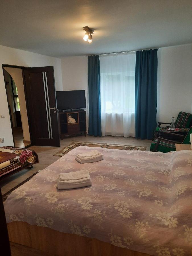 Casa Dumitru Si Elena Ciocanesti Bucovina المظهر الخارجي الصورة
