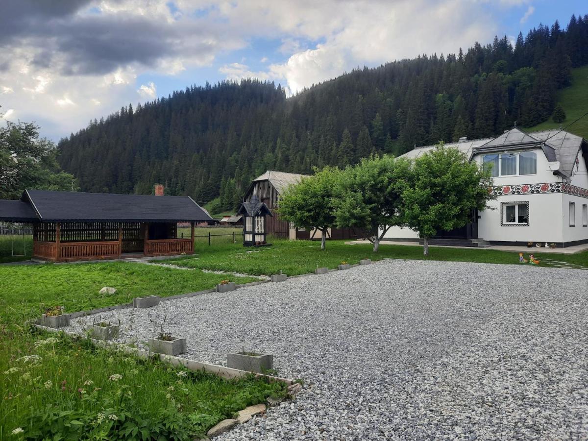 Casa Dumitru Si Elena Ciocanesti Bucovina المظهر الخارجي الصورة