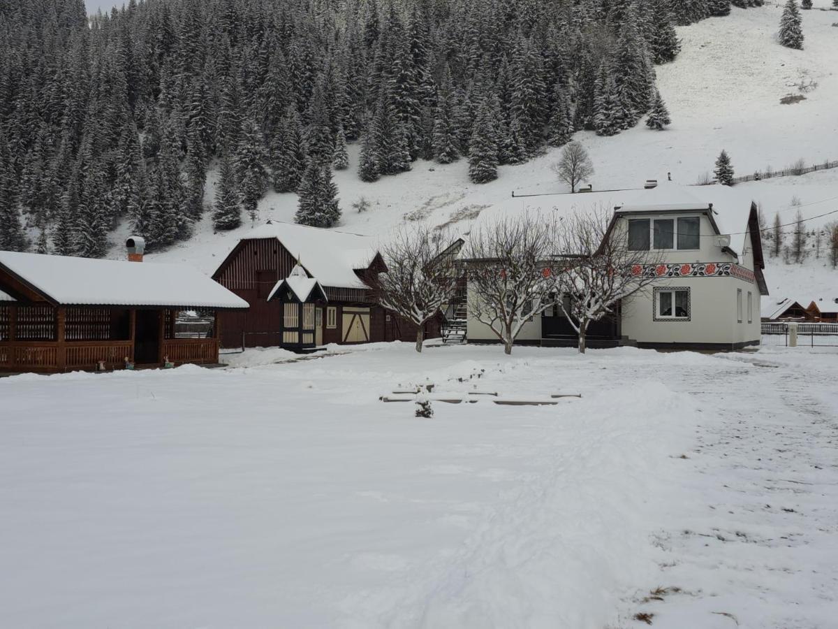 Casa Dumitru Si Elena Ciocanesti Bucovina المظهر الخارجي الصورة