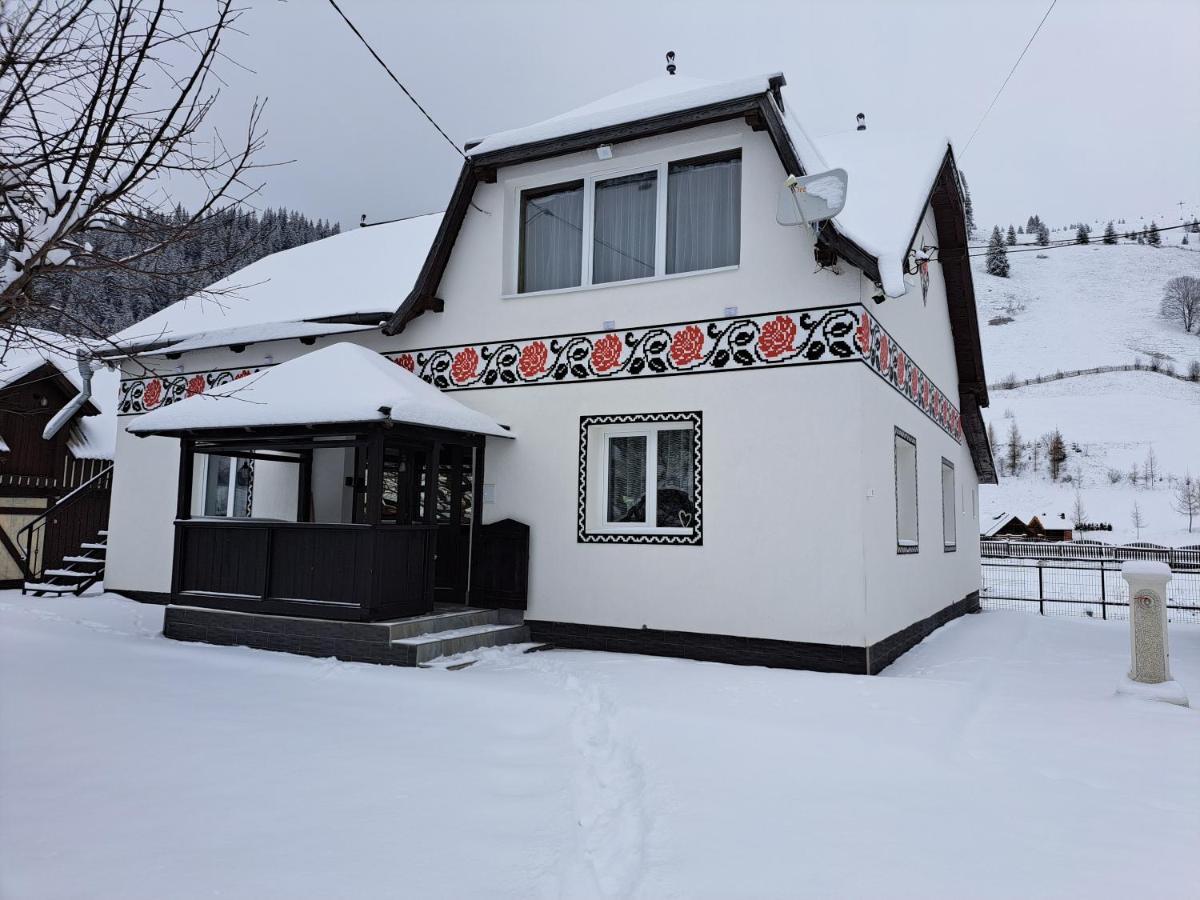 Casa Dumitru Si Elena Ciocanesti Bucovina المظهر الخارجي الصورة