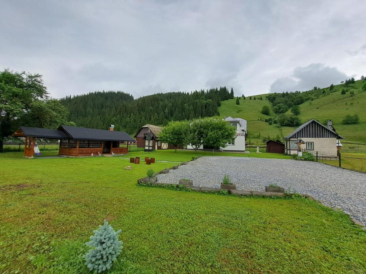 Casa Dumitru Si Elena Ciocanesti Bucovina المظهر الخارجي الصورة