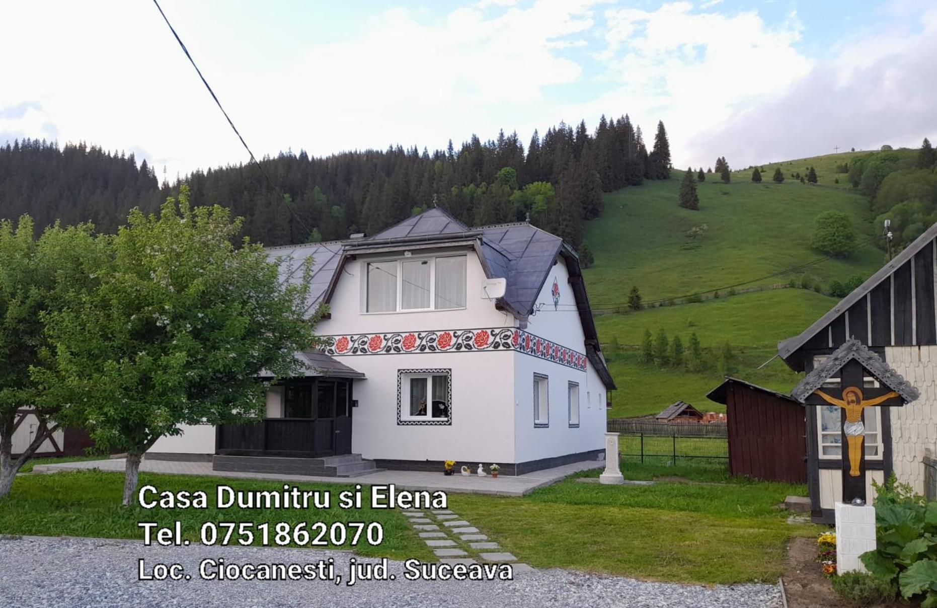 Casa Dumitru Si Elena Ciocanesti Bucovina الغرفة الصورة